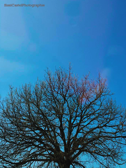 I capelli del cielo