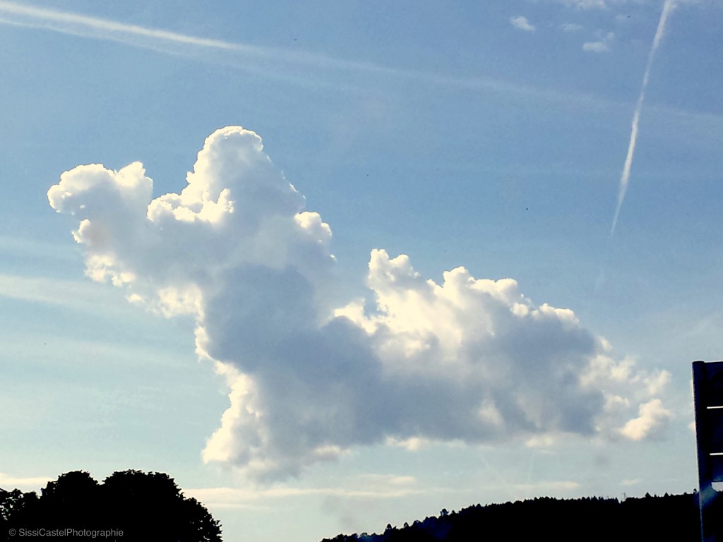 Nuvola elefante porta fortuna