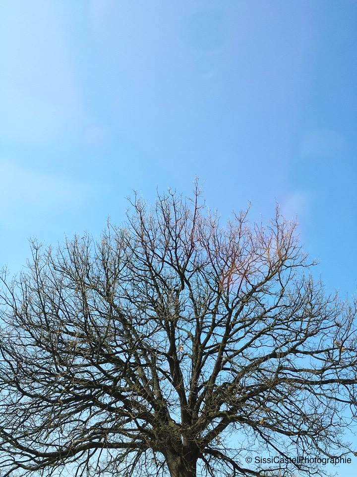 I capelli del cielo